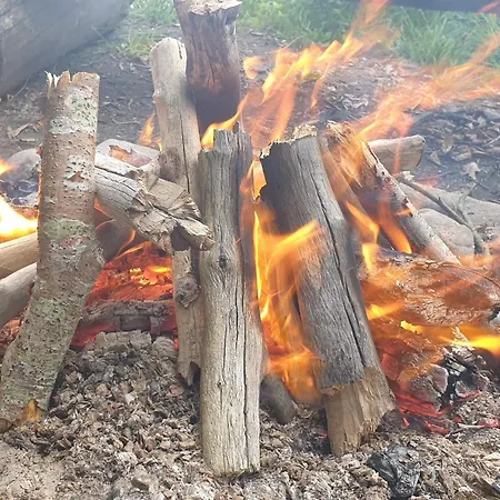 4 Star In Bjert * Sønder Bjert